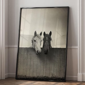 Pu&ograve; includere: Due cavalli, uno bianco e uno nero, guardano oltre una recinzione di legno. Il cavallo bianco ha una criniera e una coda di colore marrone chiaro, mentre il cavallo nero ha una criniera e una coda di colore marrone scuro. Entrambi i cavalli hanno la testa rivolta verso la fotocamera.