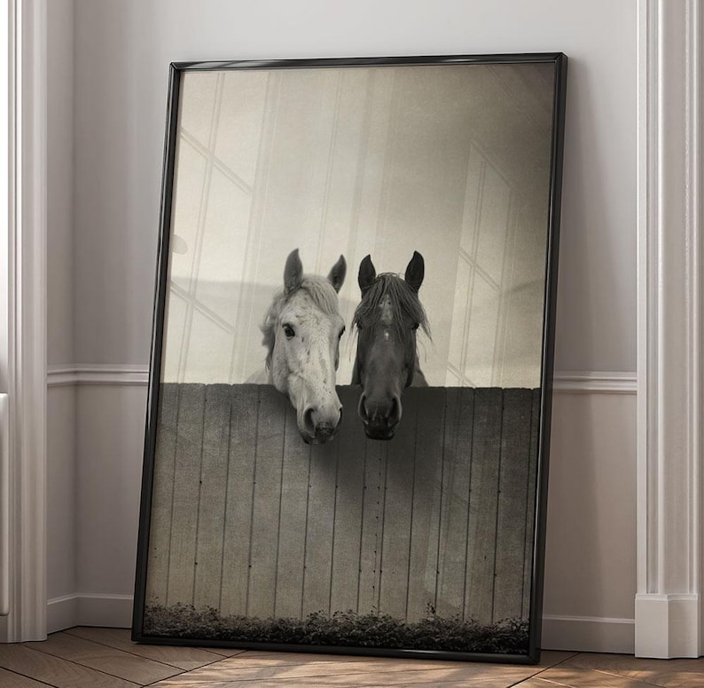 Pu&ograve; includere: Due cavalli, uno bianco e uno nero, guardano oltre una recinzione di legno. Il cavallo bianco ha una criniera e una coda di colore marrone chiaro, mentre il cavallo nero ha una criniera e una coda di colore marrone scuro. Entrambi i cavalli hanno la testa rivolta verso la fotocamera.