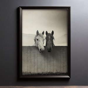 Pu&ograve; includere: Fotografia in bianco e nero di due cavalli che guardano oltre una recinzione di legno. Il cavallo a sinistra &egrave; bianco e il cavallo a destra &egrave; nero.