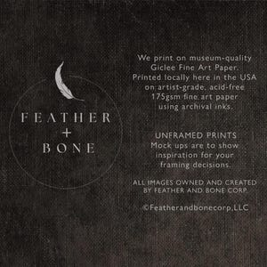 May include: Black and white logo with a feather and the text "FEATHER + BONE" in a circle. The text below the logo reads "We print on museum-quality Giclee Fine Art Paper. Printed locally here in the USA on artist-grade, acid-free 175gsm fine art paper using archival inks. UNFRAMED PRINTS Mock ups are to show inspiration for your framing decisions. ALL IMAGES OWNED AND CREATED BY FEATHER AND BONE CORP. &copy;Featherandbonecorp.LLC"