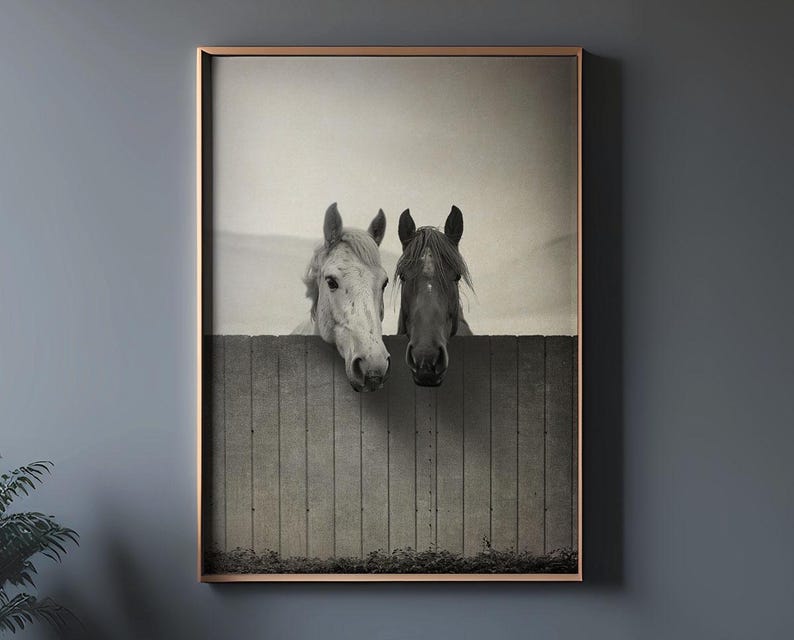 Pu&ograve; includere: Fotografia in bianco e nero di due cavalli che guardano oltre una recinzione di legno. I cavalli sono rivolti verso la fotocamera e hanno la testa leggermente inclinata di lato.