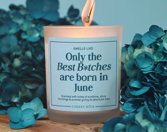 Funny June Birthday Candle, Only the Best Born in June, Gemini Cancer Gift, June Birthday Gift, June Birthday Candle, Birth Month Candle