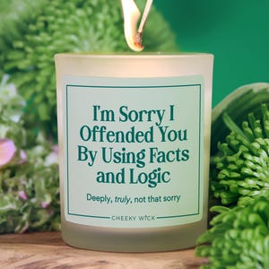 Funny Coworker Gift Candle, Sarcastic Gag Gift for Project Manager Gift for Tech Nerd, Lawyer Doctor Data Analyst Gift, Funny Fathers Day