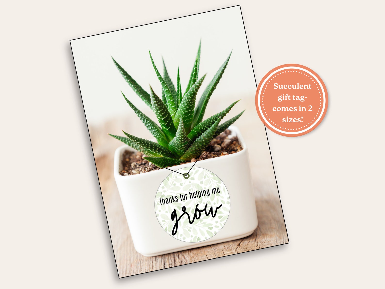 Teacher Appreciation Day Gift Idea, Teacher Plant Gift Tag, Daycare