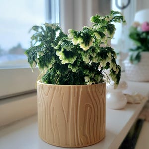 Planter met houtnerflook/unieke milieuvriendelijke kamerplant Biogebaseerd materiaal/3D-geprinte pot