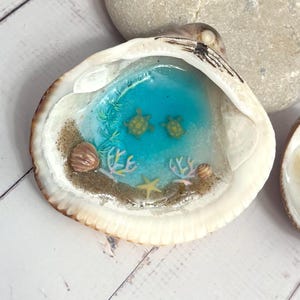 Puede incluir: Una concha decorativa con un diorama oceánico en miniatura. La concha contiene resina azul que representa el agua, dos pequeñas figuras de tortugas, arena, coral y una estrella de mar. La concha es blanca con bordes marrones.