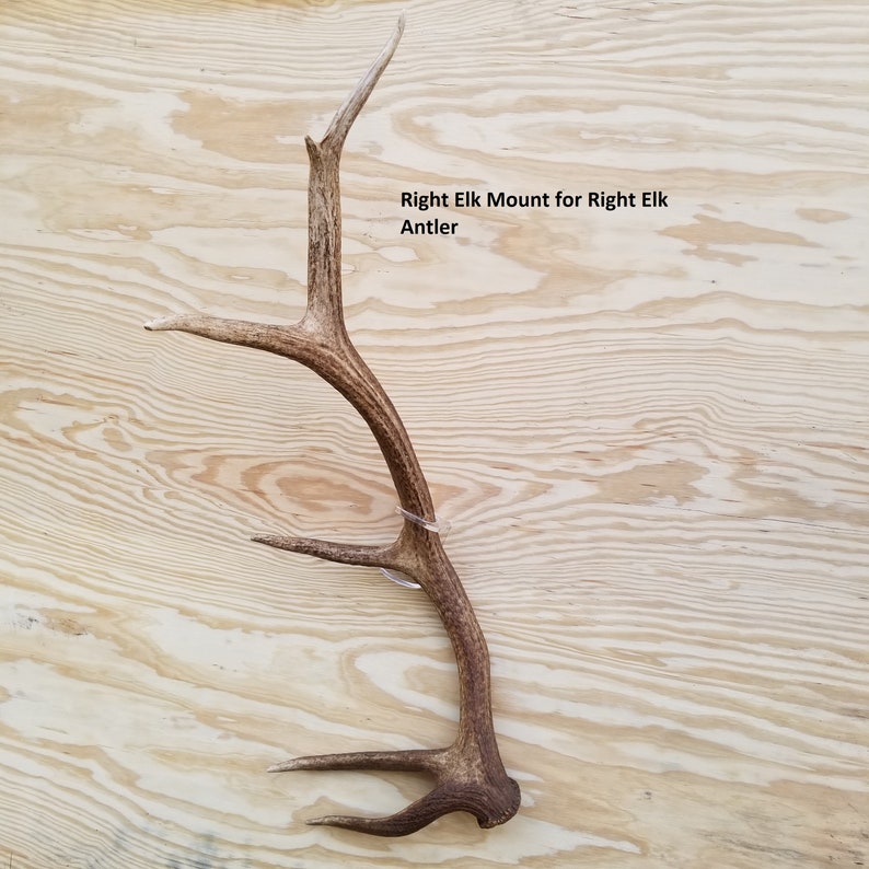 Invisible Elk Shed Wall Mount image 2