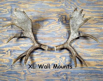 Metal Moose Shed Antler Wall Mount Display. Antler not included
