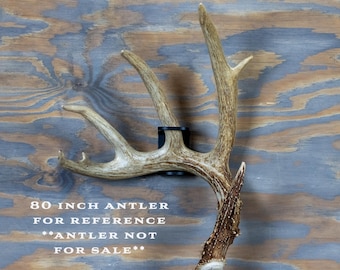 Metal Shed Antler Wall Mount Display