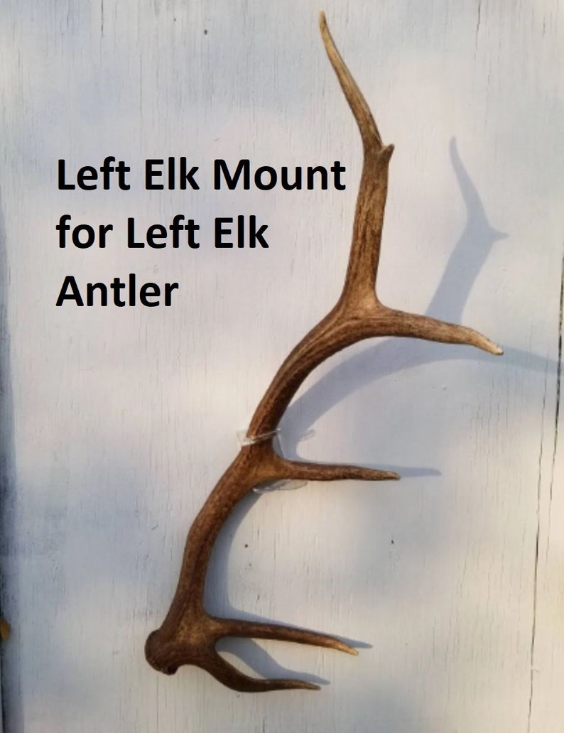 Invisible Elk Shed Wall Mount image 6