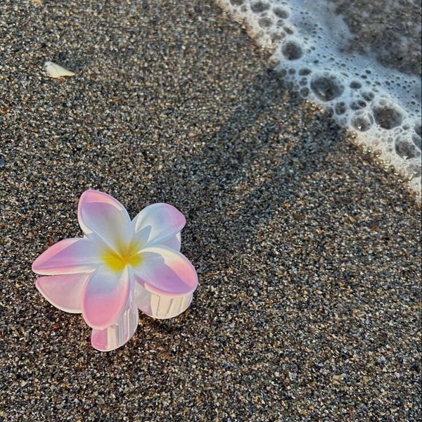 Frangipani hair clips