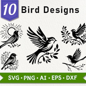 Puede incluir: Diez diseños de pájaros en blanco y negro con elementos florales. Los diseños incluyen un pájaro con un sol, un pájaro con una rama, un pájaro con una flor y un pájaro con una hoja. El texto "10 Bird Designs" está en la parte superior de la imagen. El texto "SVG - PNG - AI - EPS - DXF" está en la parte inferior de la imagen.