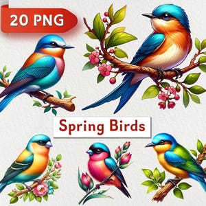 20 PNG Uccelli primaverili, Clipart di uccelli floreali, Uccelli primaverili acquerellati, Arte di uccelli in fiore, Clipart di uccelli sui rami, Download istantaneo