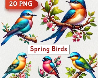 Watercolor Spring Birds PNG Clipart: Floral Blossom Art (Instant Download)