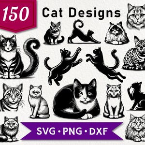 150 Cat SVG Bundle, Cat Breeds, Cat PNG Clipart, Kitten Vector Graphics PNG, Sublimation, Cats Svg Cut Files for Cricut, Digital Download