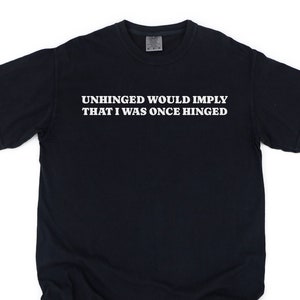 Unhinged Shirt, Cursed Meme Shirt, Weirdcore Clothing, Inappropriate Shirt, Sarcastic Shirt, Ironic Shirt, Stupid Shirt, Gen Z Gift
