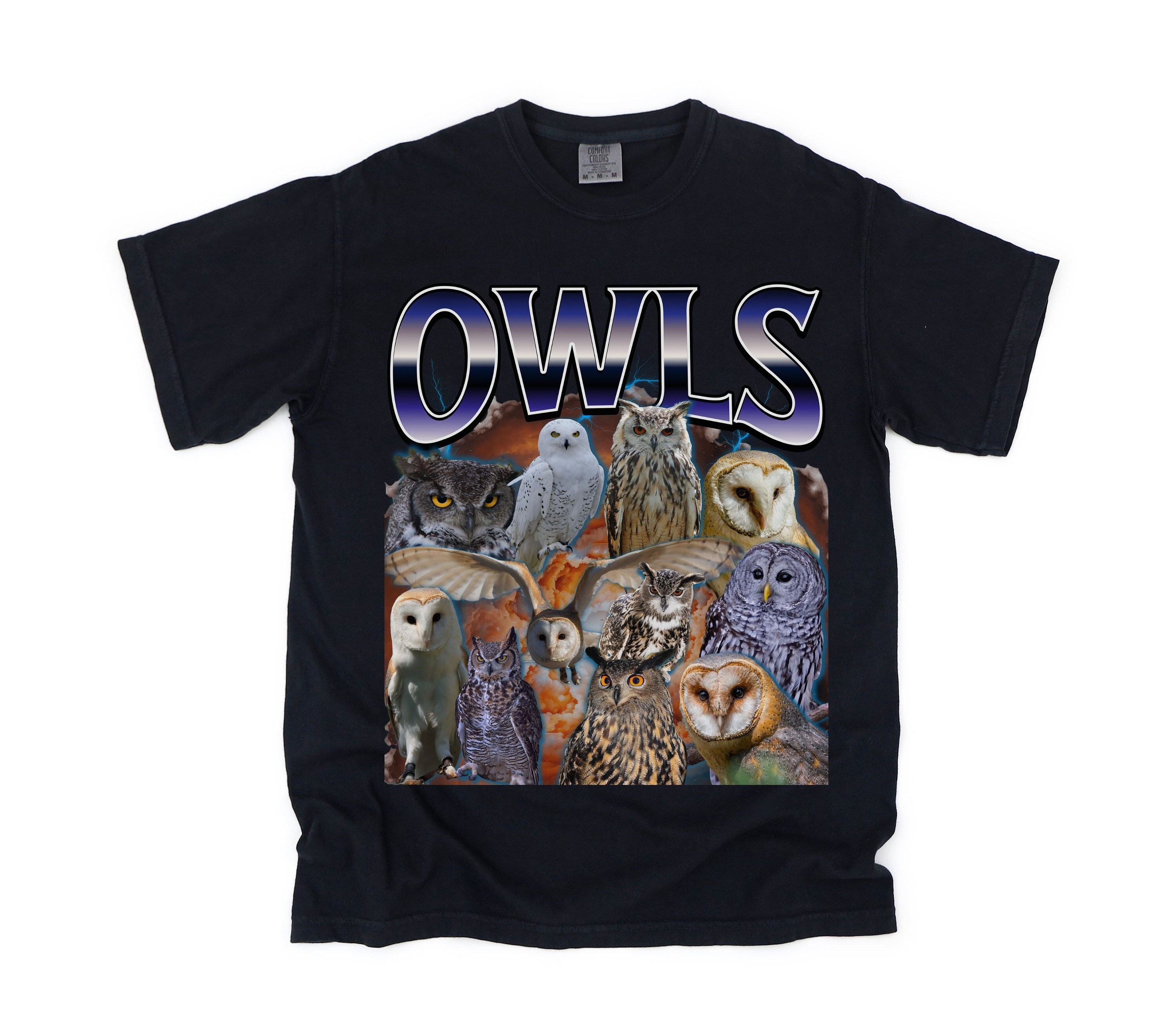 Owls Shirt, Rap Bootleg Shirt, 90s Aesthetic T-shirt, Owl T-shirt, Bird Nerds, Gift for Animal Lover
