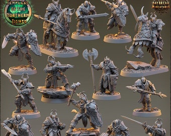 Daybreak Miniatures - "Templars of the Northern Lights" Pack Part 1 / 3D gedruckte Miniaturen für Wargaming und Tabletop, DnD, Fantasy