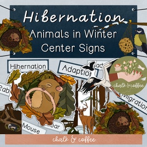 Hibernation Center Signs Animals in Winter - Migration & Adaption Flash Cards Science Signs Animals School Picture Forest Animals Winter