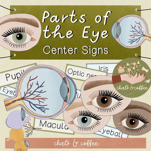 Signes du centre de l'œil - Étude du corps humain Puzzle et cartes flash Senses École à la maison Sciences du corps humain Travaux manuels pour enfants imprimables