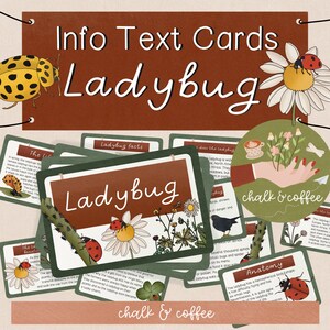 Cartes de lecture coccinelles imprimables cartes d'informations sur les connaissances, insectes et insectes, école à la maison, science des coccinelles, travaux manuels imprimables pour enfants