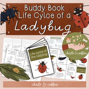 Ladybug Craft Buddy Book WITHOUT GLUE - Folded Booklet Insects - Craft Ladybugs Life Cycle Homeschool Activity Study Resources