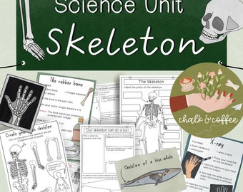 Hojas de trabajo, experimentos y manualidades de la unidad de ciencia del esqueleto Human Body Resource - Educación en el hogar Ciencia del cuerpo humano Manualidades para niños imprimibles