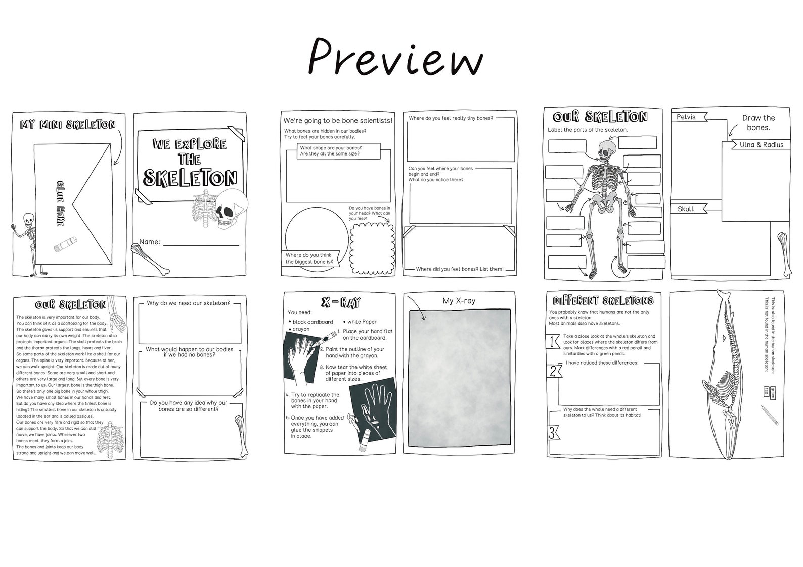 Skeleton Booklet Science Unit - Self Study Human Body Resource, Spine ...