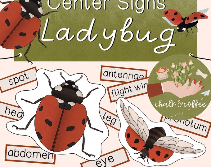Ladybug Center Signs Anatomy of Ladybug Science Insects Vocabulary ...