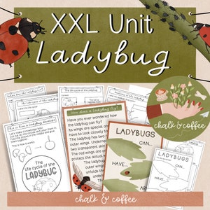 Coccinella Unità scientifica Fogli di lavoro STAMPABILI, Artigianato, Esperimenti, Arte Insetti Bug Schede flash Homeschool Coccinella Scienza Artigianato stampabile per bambini