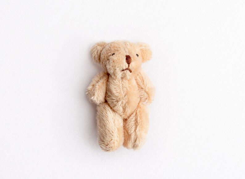 Puede incluir: Un peque&ntilde;o oso de peluche beige con ojos marrones y una nariz cosida. El oso est&aacute; sentado derecho sobre un fondo blanco.