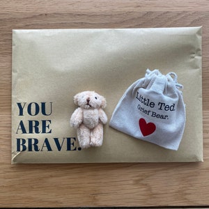Puede incluir: Un peque&ntilde;o oso de peluche beige con un coraz&oacute;n rojo en un sobre de papel marr&oacute;n. El sobre tiene el texto "YOU ARE BRAVE." impreso en &eacute;l. Una peque&ntilde;a bolsa blanca con el texto "Little Ted Grief Bear." tambi&eacute;n est&aacute; en el sobre.