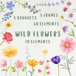 Wildflowers Clipart, Wild flower PNG, Watercolor Summer Flowers, Colorful Bouquets, Floral Frames Clipart, Watercolor Flowers Elements PNG