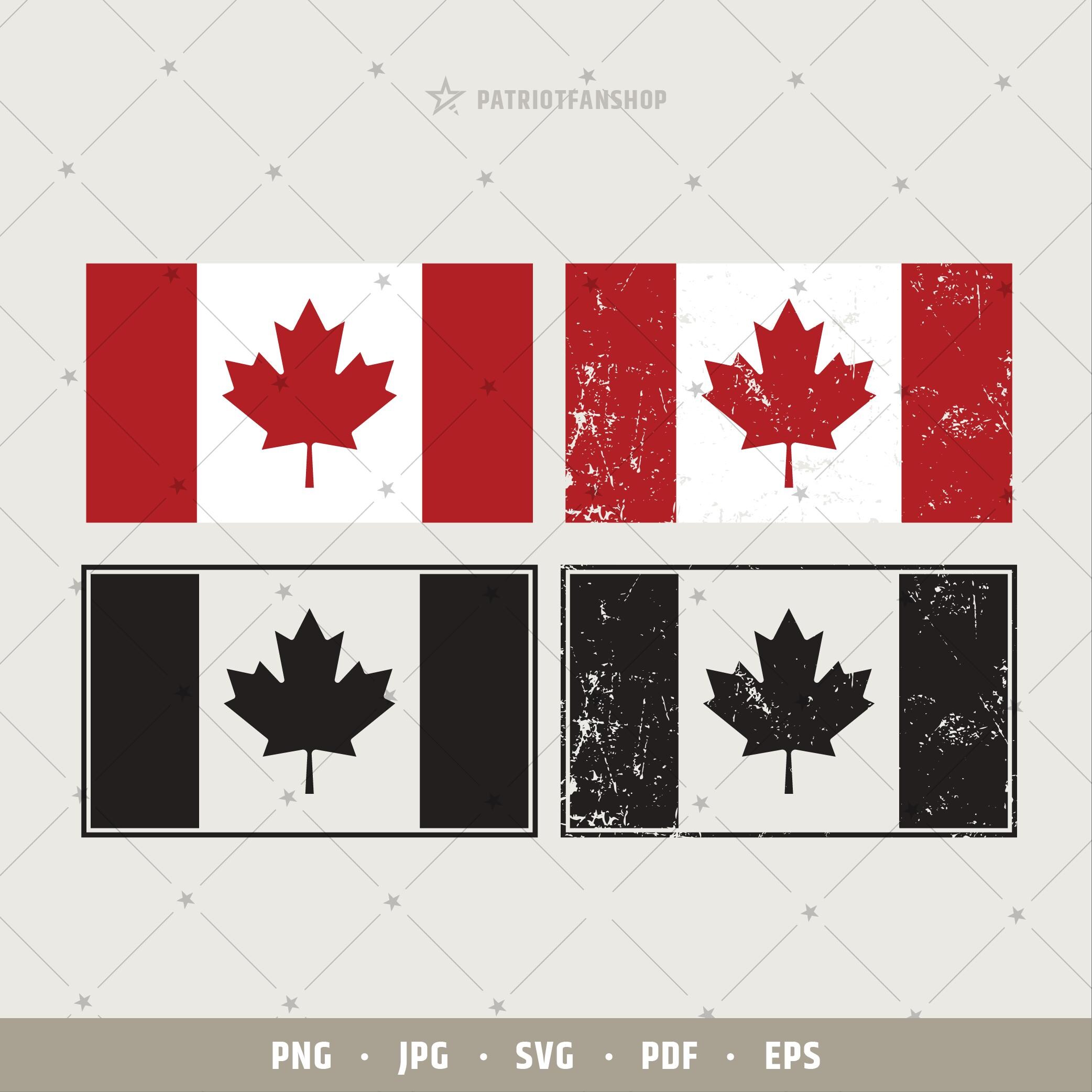 10 écussons Toronto Maple Leafs – Broderies à Coudre Ou Thermocoller – Taille 2,8 X 3,2 Pouces