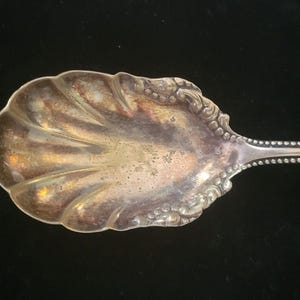 Antique Vintage WM ROGERS Silver Plated Sugar Shell Spoon