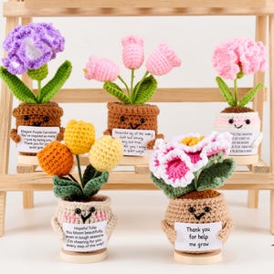 Gehäkelte Topfblume und Gurke, positive Energie Geschenk, handgemachte Obstpflanze, Geschenk zur Unterstützung der Emotionen, Schreibtischdekoration für Sie, Danke