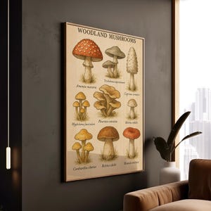 Waldpilze Poster Boho Dekor Natur Kunstdruck Klassenzimmer Wandkunst Geschenk für Naturliebhaber Pilzsammler Dekor
