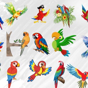 Parrot SVG bundle, parrot sv, parrot clipart, parrot silhouette bundle, parrot cut files, bird svg, tropical svg bundle, parrot clipart