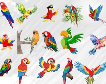 Paquete SVG de loro, loro sv, imágenes prediseñadas de loro, paquete de silueta de loro, archivos cortados de loro, svg de pájaro, paquete de svg tropical, imágenes prediseñadas de loro