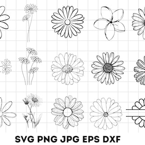 Pacchetto Daisy Svg, Fiore Svg, Pianta Svg, Silhouette Daisy, File tagliati Daisy, Pacchetto Daisy Svg, Clipart Daisy, Monogramma Daisy Design Svg