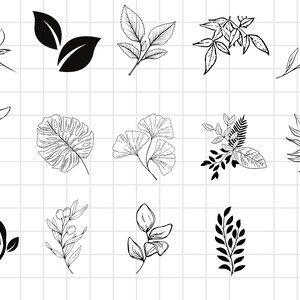 Paquete LEAF SVG, paquete LEAVES Svg, Leaf Clipart, Leaf Svg archivos cortados para Cricut, Branch Svg, Twig svg, Descarga instantánea de archivos digitales