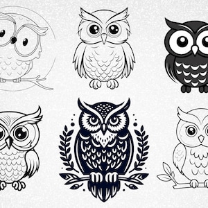 Owl svg bundles, owl design files, owl cliparts, owl png, floral owl svg, owl vector, owl zentangle svg, owl mandala svg bundles
