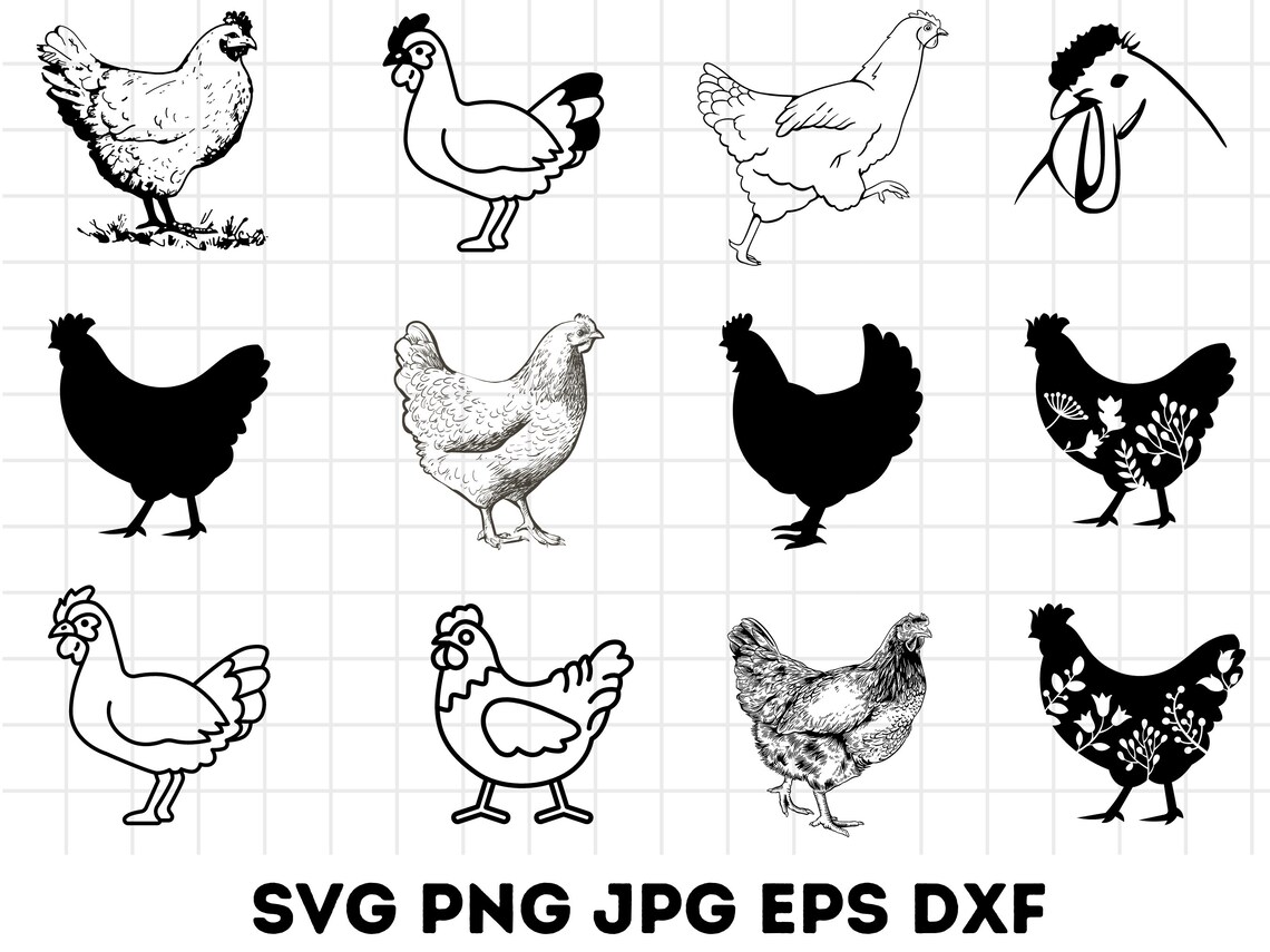 Chicken Svg Bundle Hand Drawn, Chicken Svg, Rooster Svg, Chicken Svg ...