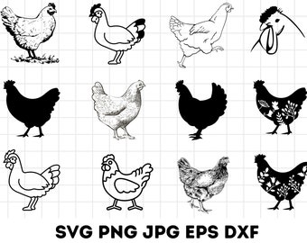 Chicken svg bundle hand drawn, chicken svg, rooster svg, chicken svg funny, crazy chicken lady svg,chicken whisperer svg,chicken clipart