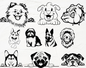 PERRO MIRANDO SVG, Imágenes Prediseñadas de perro mirando, Archivos svg de perro mirando para Cricut, Silueta de perro mirando svg, Perro lindo svg, Perro negro svg, Paquete de perro