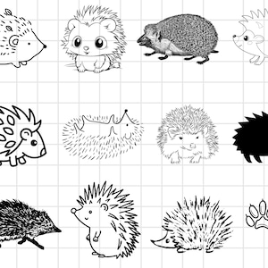 Hedgehog Svg BUndle, Hedgehog Svg, Hedgehog Clipart, Hedgehog Cut Files for Cricut, Cute Hedgehog Svg, Cartoon Hedgehog Svg