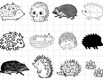 Erizo svg BUndle, erizo svg, erizo clipart, erizo cortar archivos para Cricut, lindo erizo svg, dibujos animados erizo svg