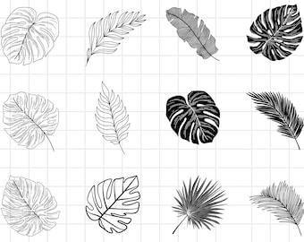 Tropical Leaves Svg, Monstera Clipart, Monstera SVG Bundle Tropical Leaf, Monstera Silhouette Svg, Tropical Leaves Svg files for Cricut