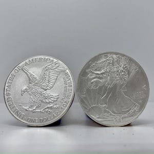 Liberty 1993 coin collecting - Etsy 日本