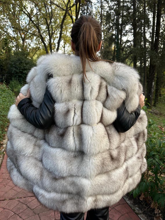 Kleine weiße nordische Fuchsweste, perfektes Futter, sehr weiches